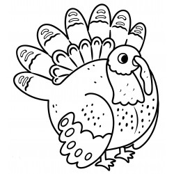 Turkey with a puffy tail