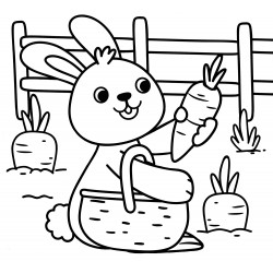 The bunny picks carrots