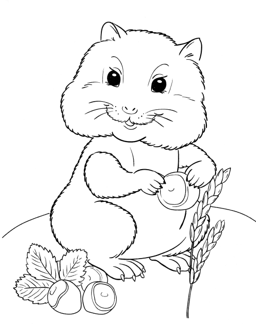 Fat hamster coloring page