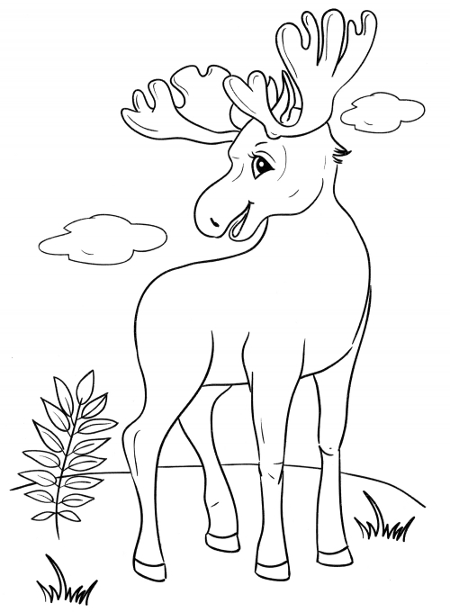 Young moose coloring page