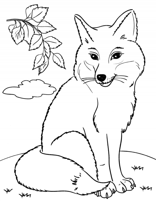 Fox is resting in a meadow coloring page