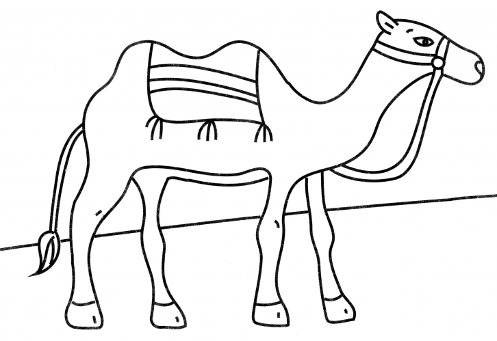 Camel in the desert coloring page