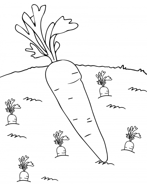Bed of carrots coloring page
