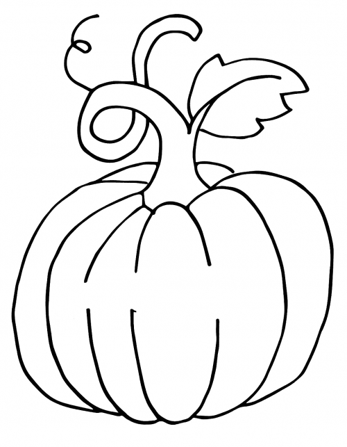 Realistic pumpkin coloring page