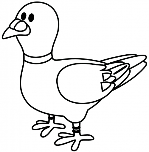 Little pigeon coloring page