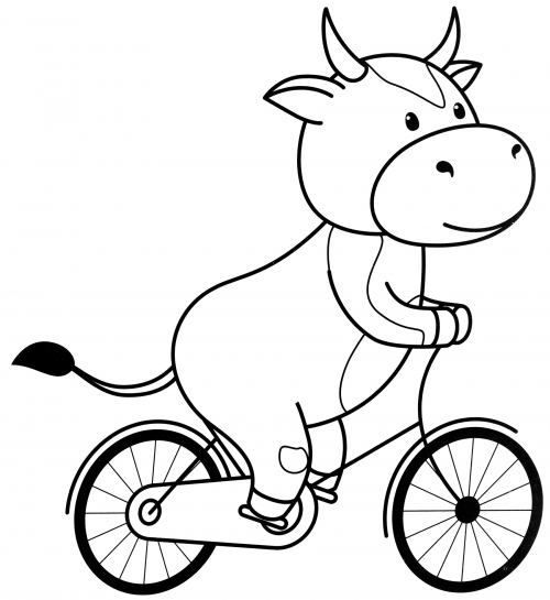 Cow on a bicycle coloring page