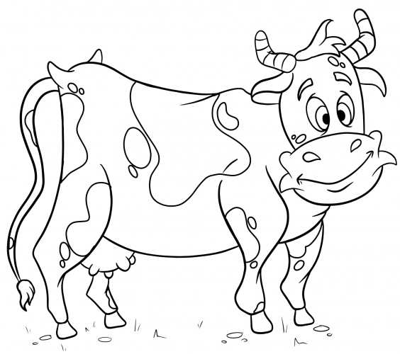 Funny cow coloring page