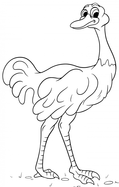 Funny ostrich coloring page