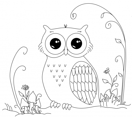 Owl with big eyes coloring page