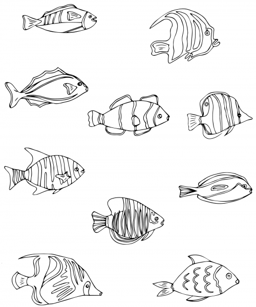 Different types of fish coloring page
