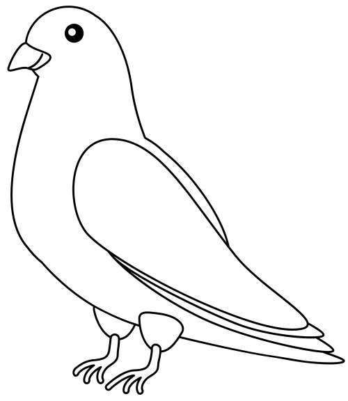 Cute pigeon coloring page