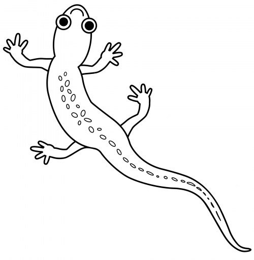 Funny lizard coloring page