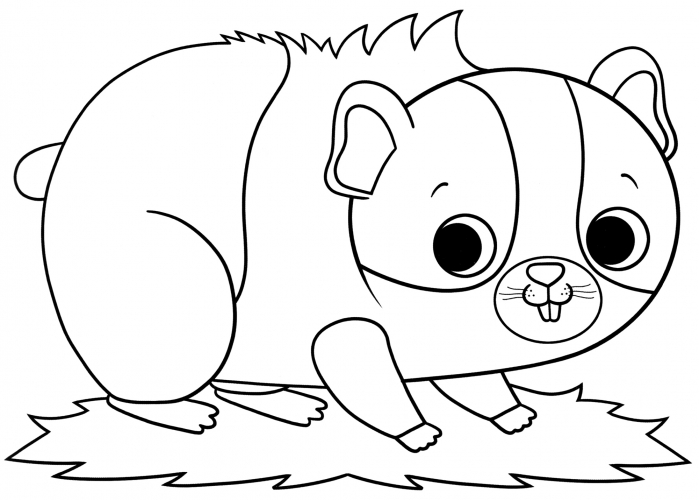 Funny hamster coloring page