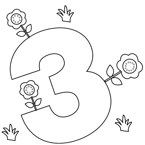 Number 3 and flowers coloring page