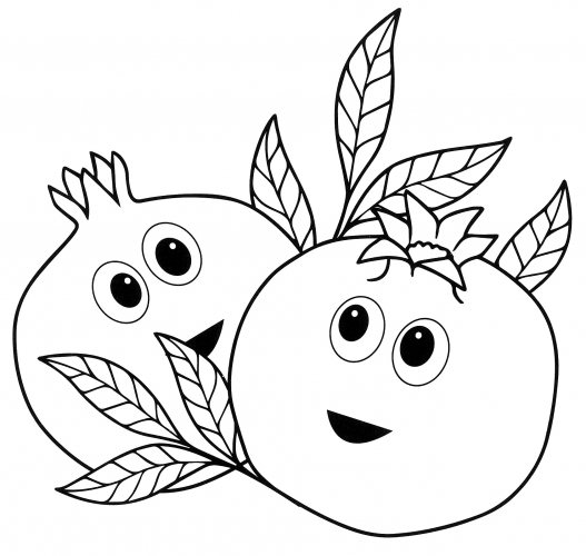 Two pomegranates coloring page