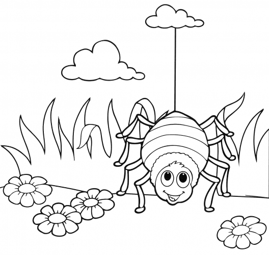 Spider on a cobweb coloring page