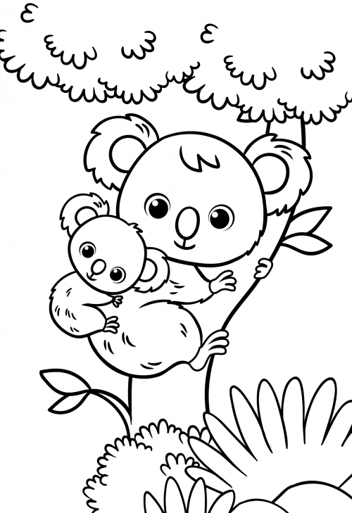 Cute koalas in a tree coloring page