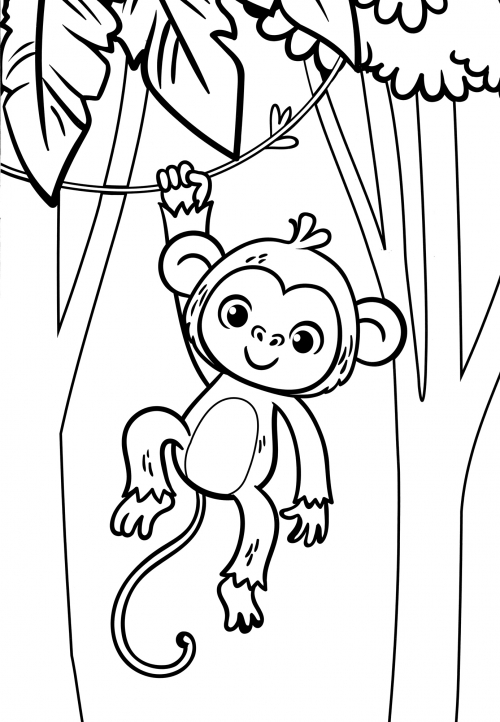 Monkey hanging from a vines coloring page