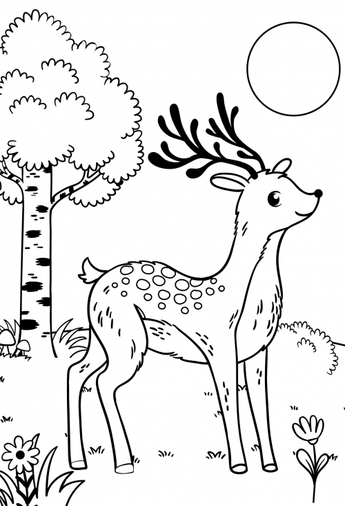 Deer walks in a clearing coloring page