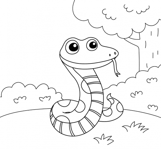 Snake in the meadow coloring page