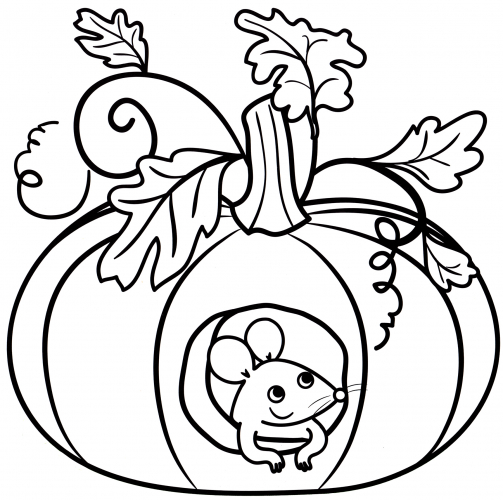 Mouse in a pumpkin coloring page