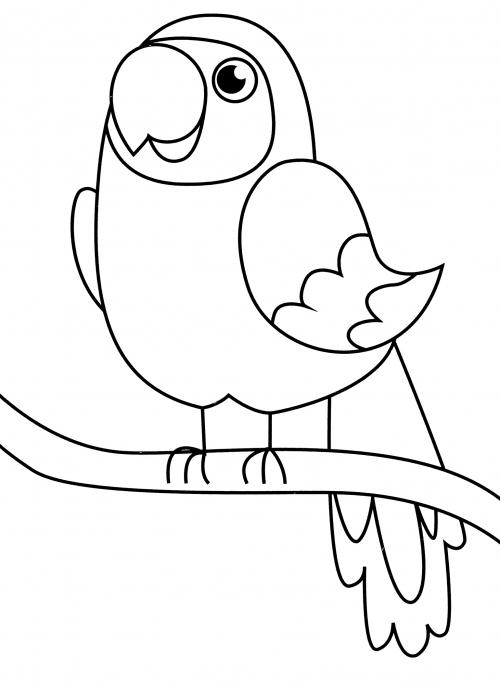 Pretty parrot coloring page