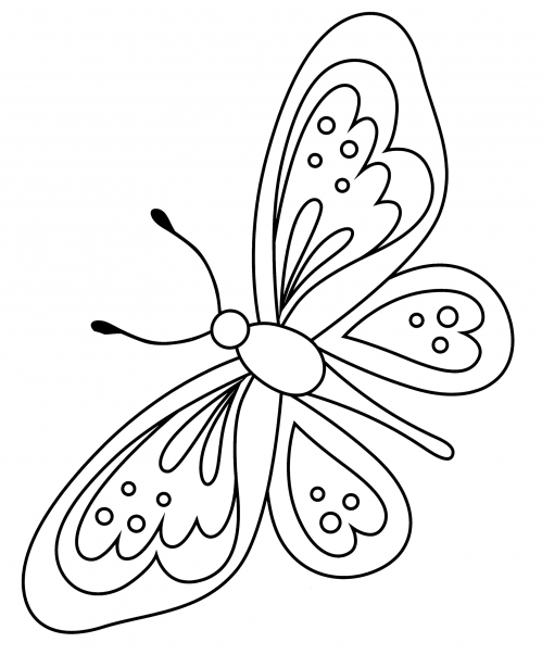 Marvelous butterfly coloring page