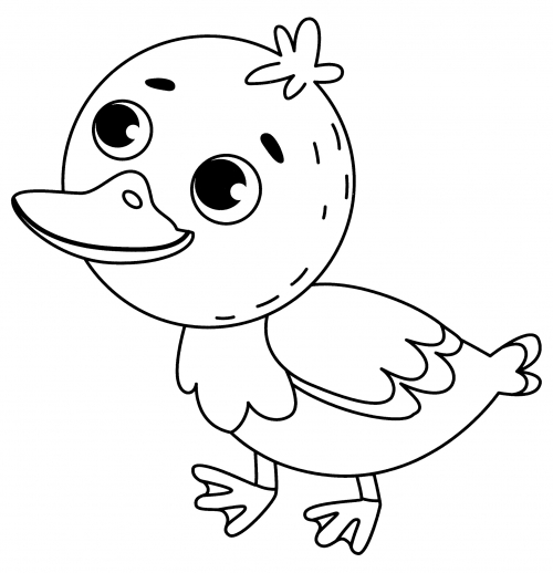 Cute duckling coloring page