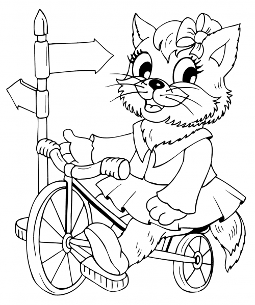 Cat on a bicycle coloring page