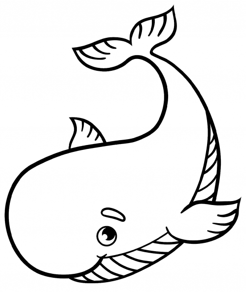 Big whale coloring page