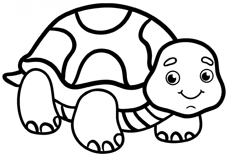 Cheerful tortoise coloring page