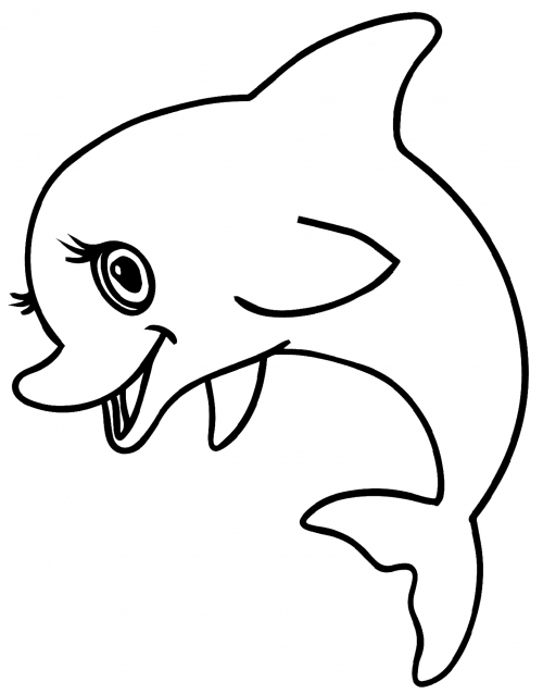 Charming dolphin coloring page