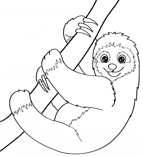 Jolly sloth coloring page