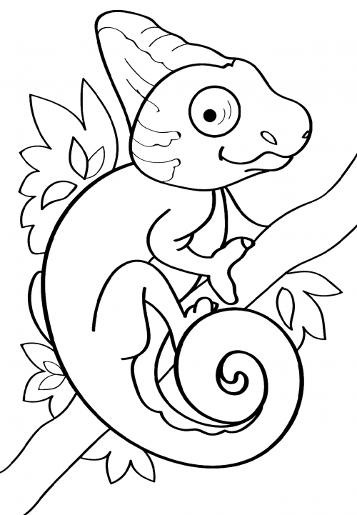 Charming chameleon coloring page