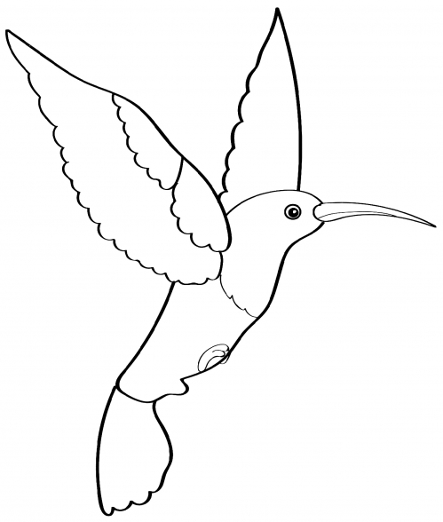 Little hummingbird coloring page
