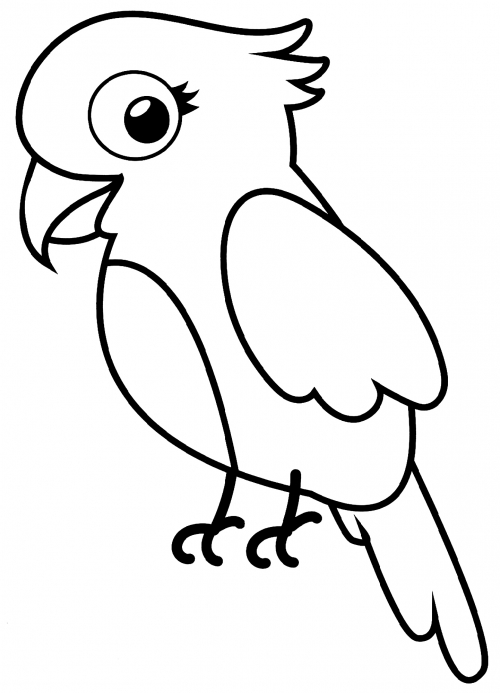 Miniature parrot coloring page