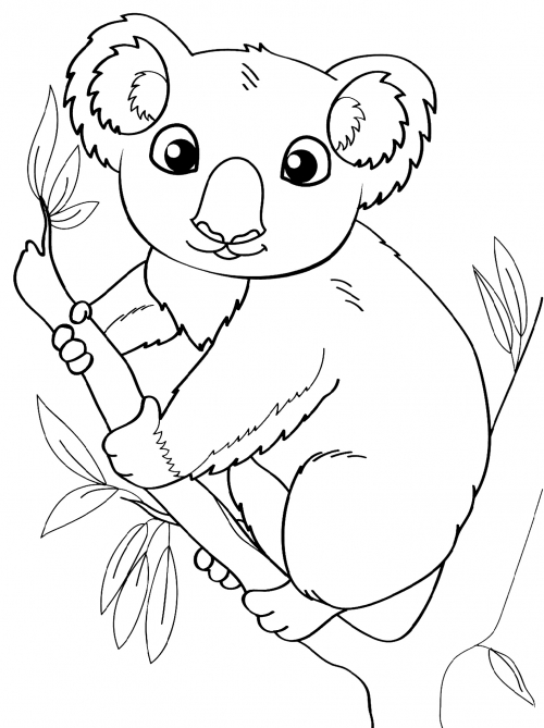 Amazing koala coloring page