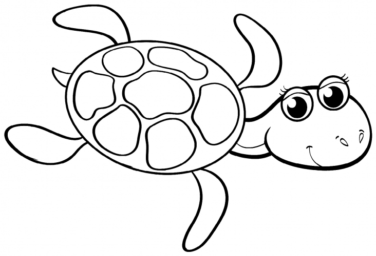 Kind turtle coloring page