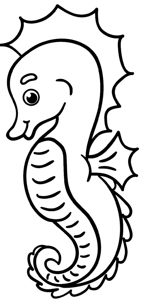 Humble seahorse coloring page