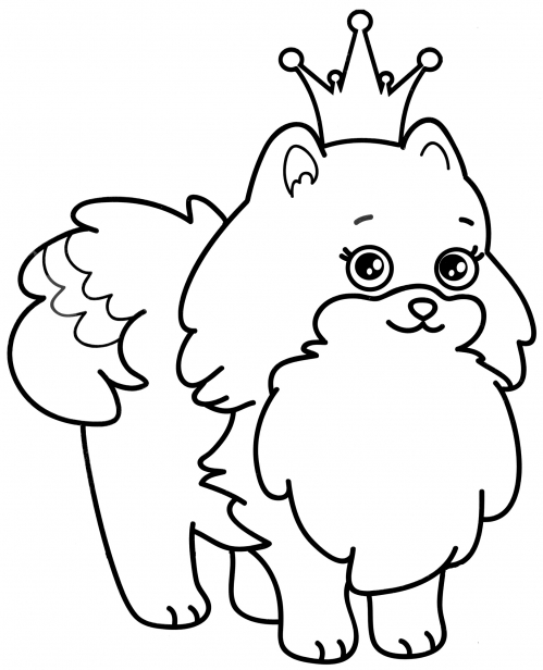 Cat with a crown coloring page