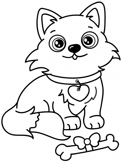 Cat in a collar coloring page