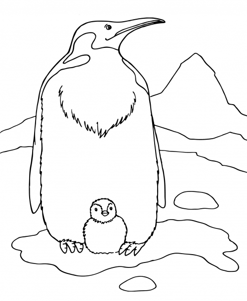 Penguin family coloring page