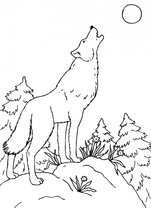 Grown wolf howls at the moon coloring page