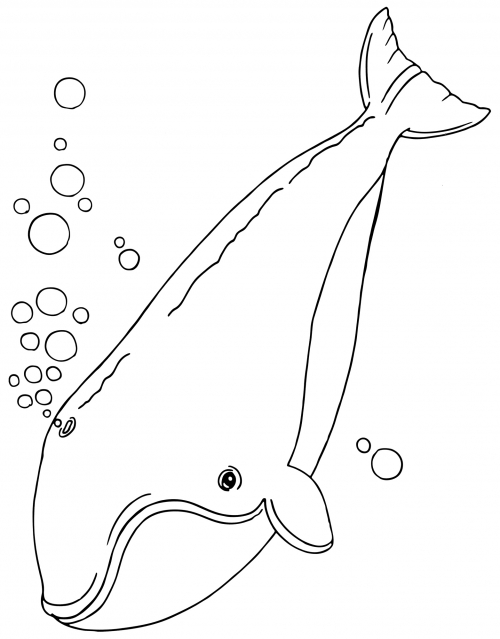 Floating whale coloring page