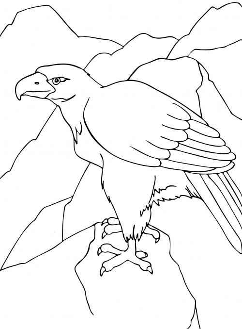 Eagle in the mountains coloring page