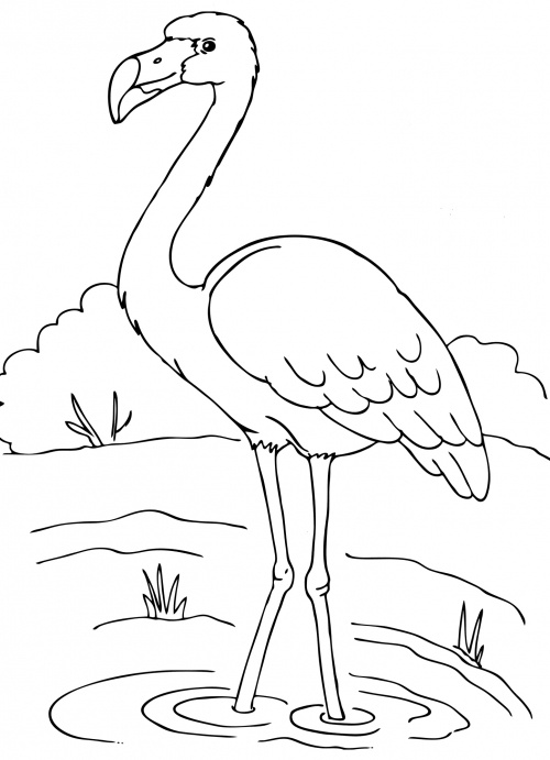 Flamingo on the lake coloring page