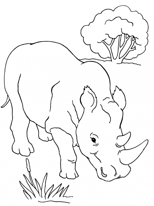 Big rhino coloring page