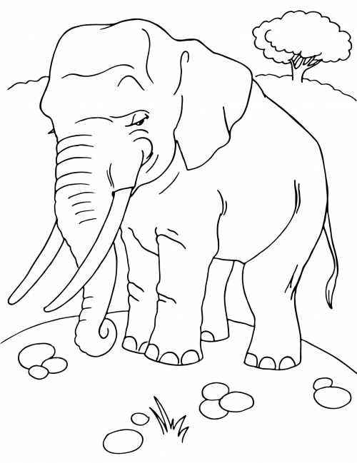 Statuesque elephant coloring page