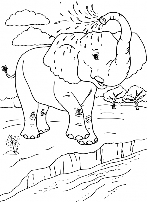 Elephant at the watering hole coloring page