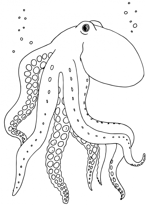 Big octopus coloring page